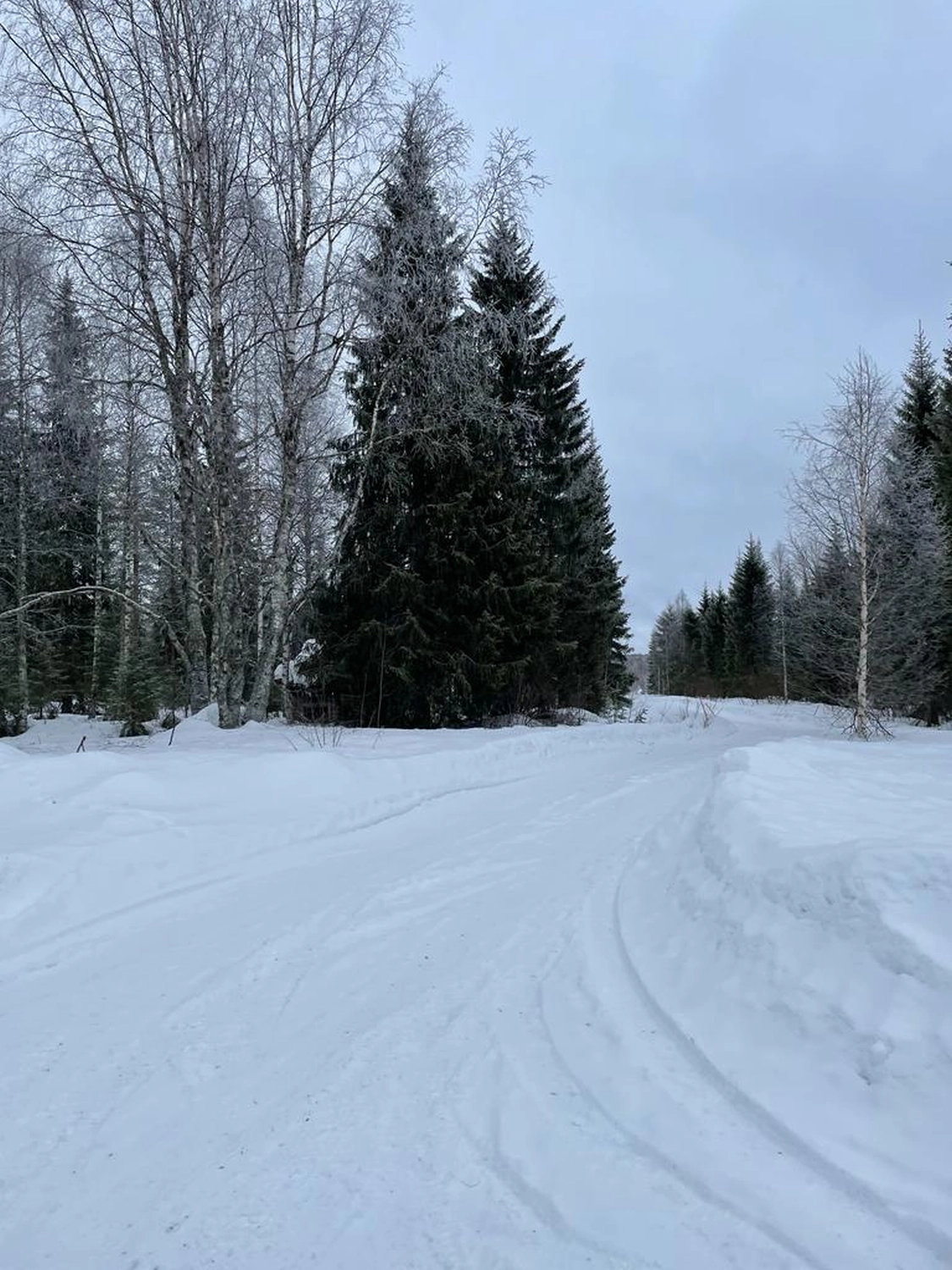 Kiruna to Storuman by  LTO Sprachprüfung