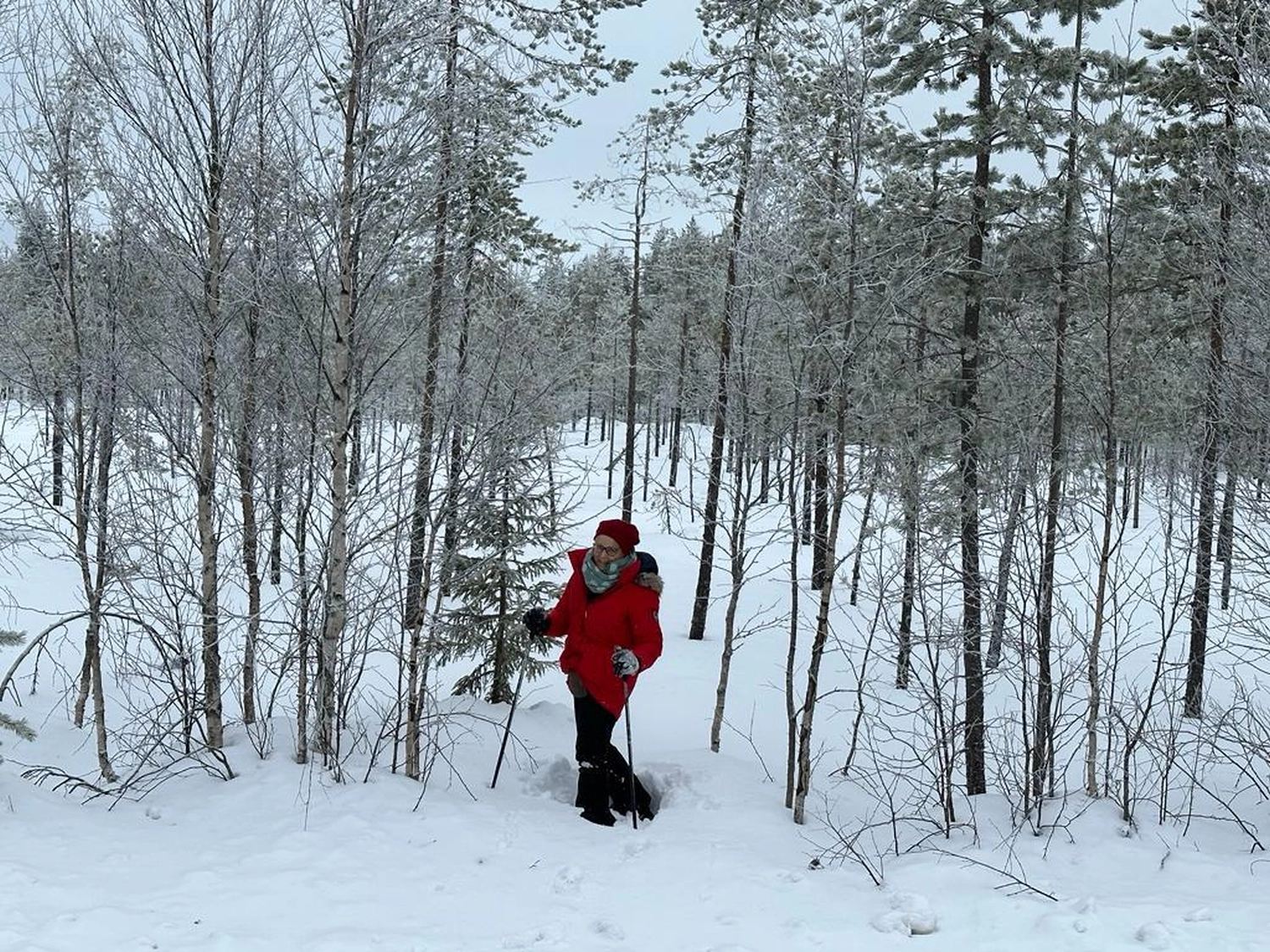 Kiruna to Storuman by  LTO Sprachprüfung