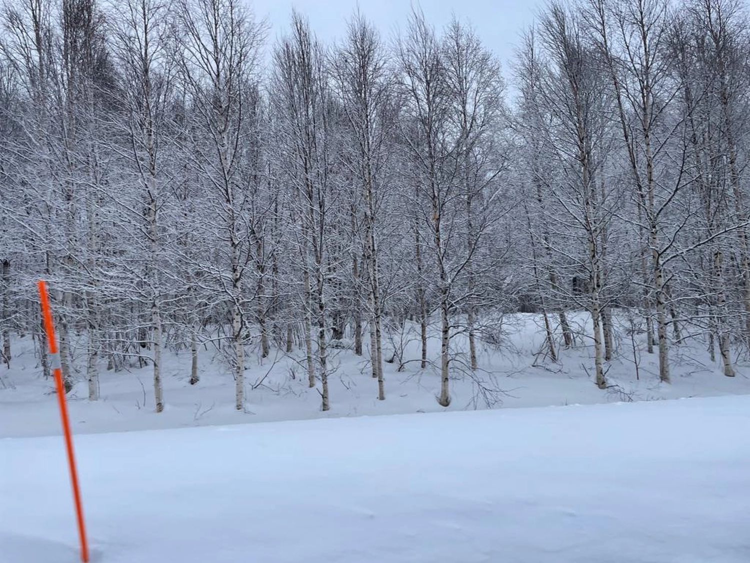 Kiruna to Storuman by  LTO Sprachprüfung