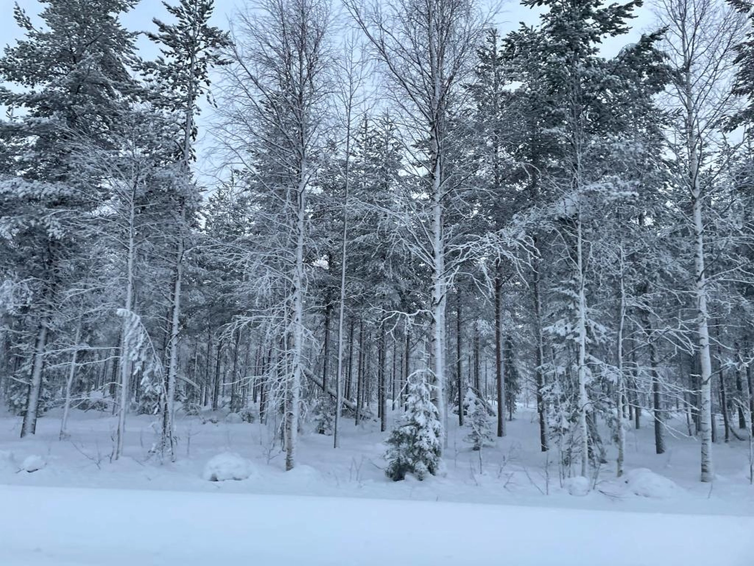 Kiruna to Storuman by  LTO Sprachprüfung