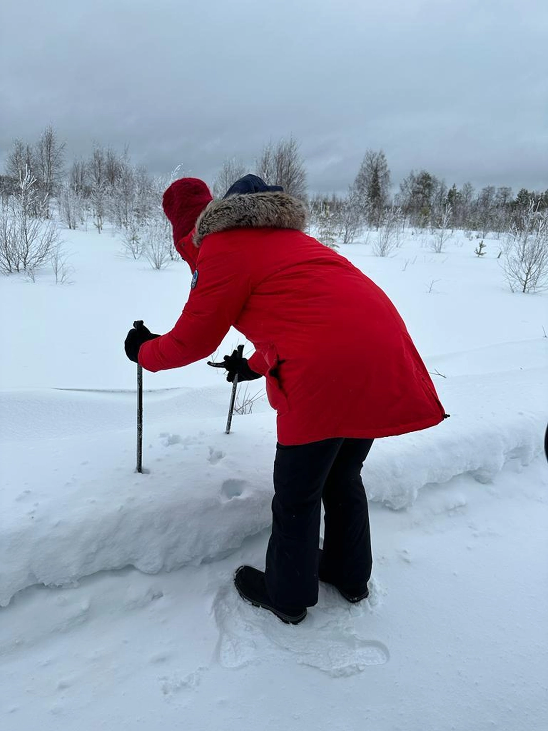 Kiruna to Storuman by  LTO Sprachprüfung