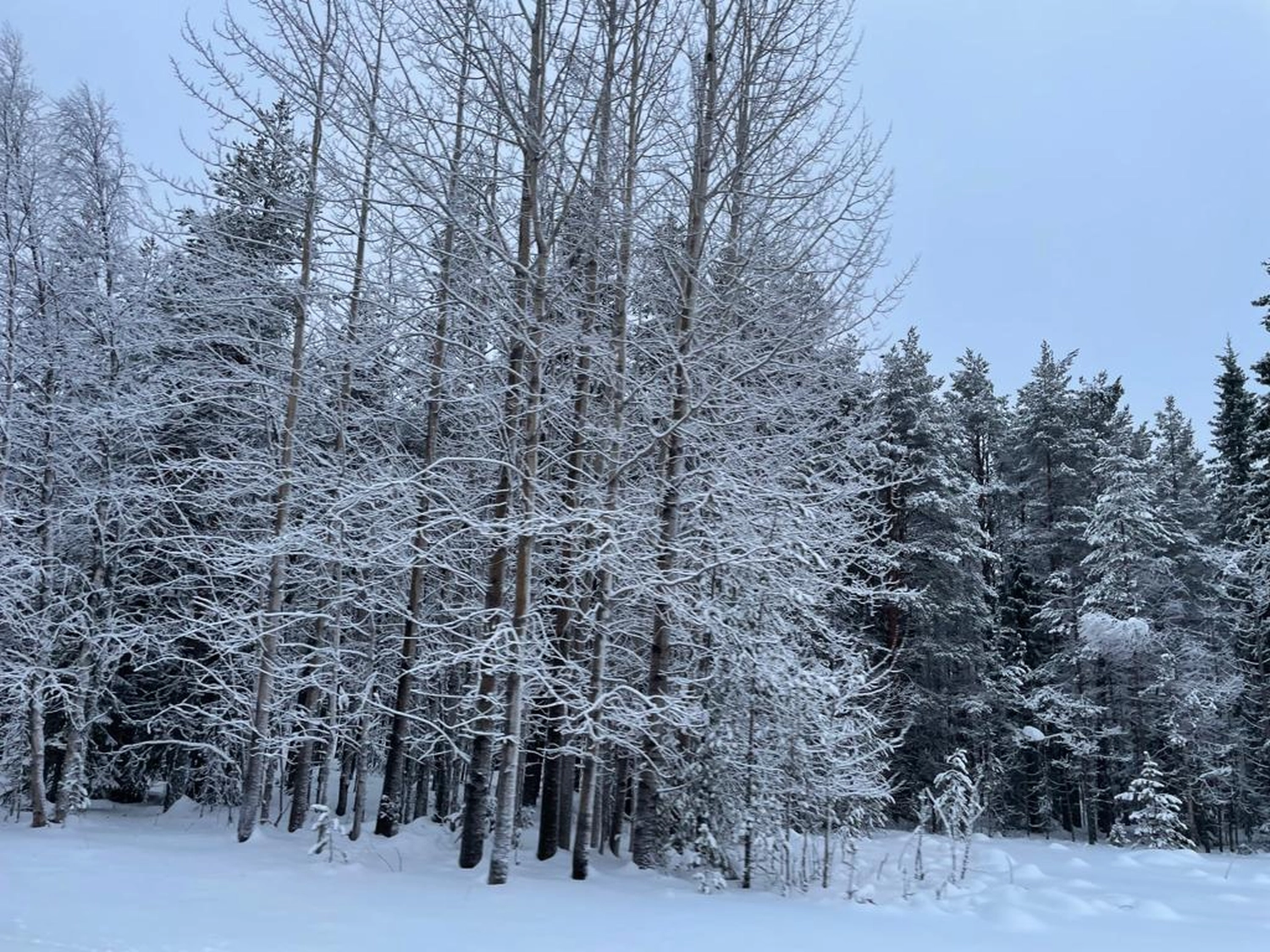 Kiruna to Storuman by  LTO Sprachprüfung