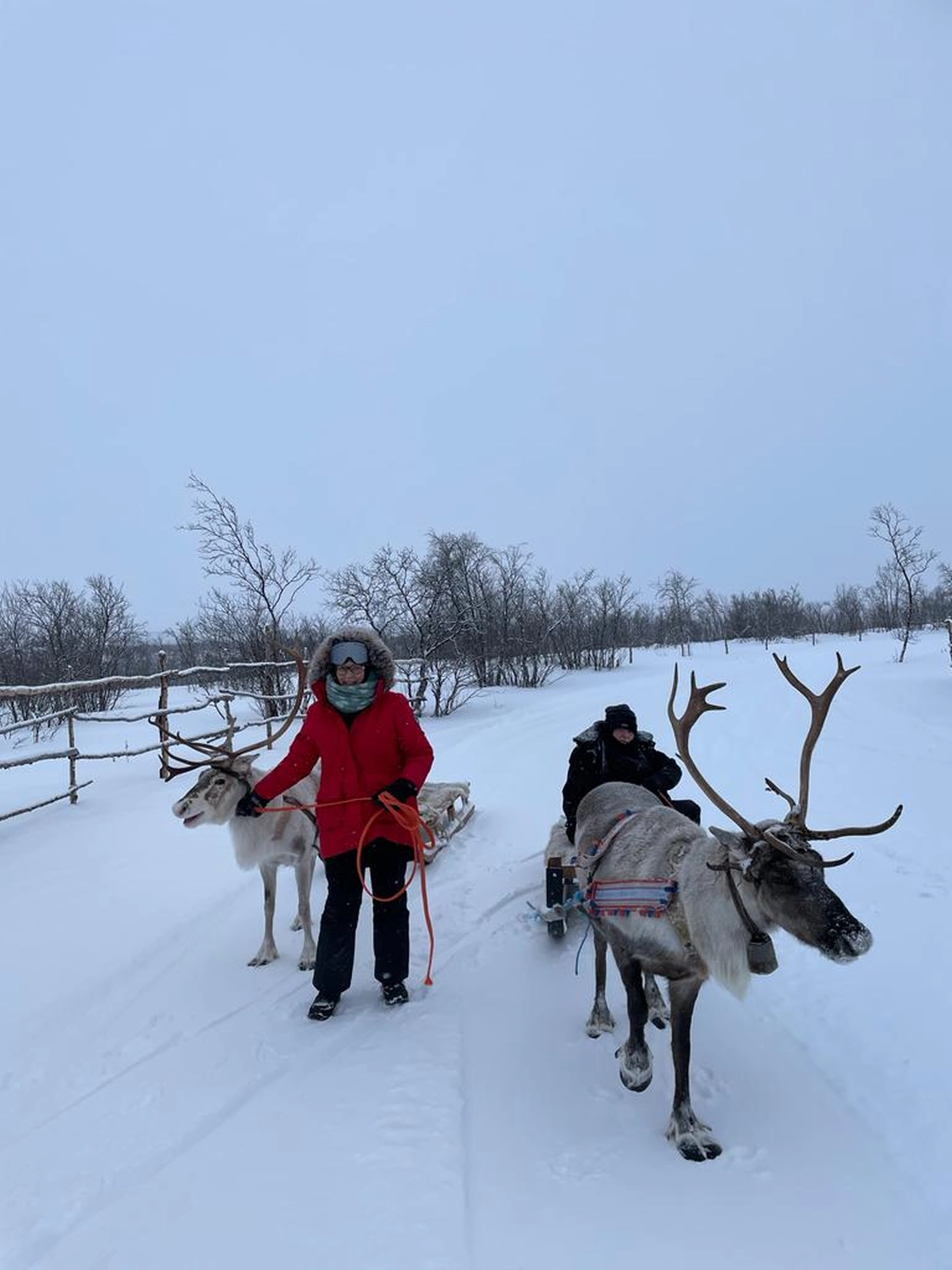 Kautokeino in Norway by  LTO Sprachprüfung
