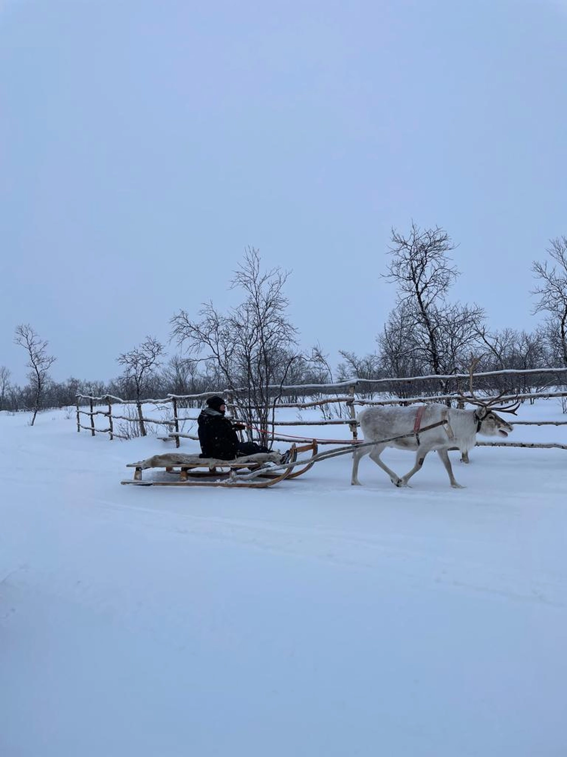 Kautokeino in Norway by  LTO Sprachprüfung