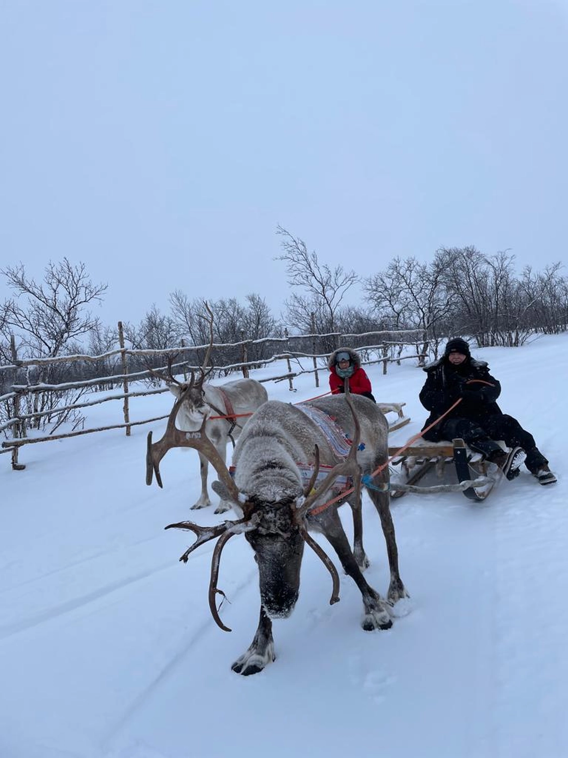 Kautokeino in Norway by  LTO Sprachprüfung