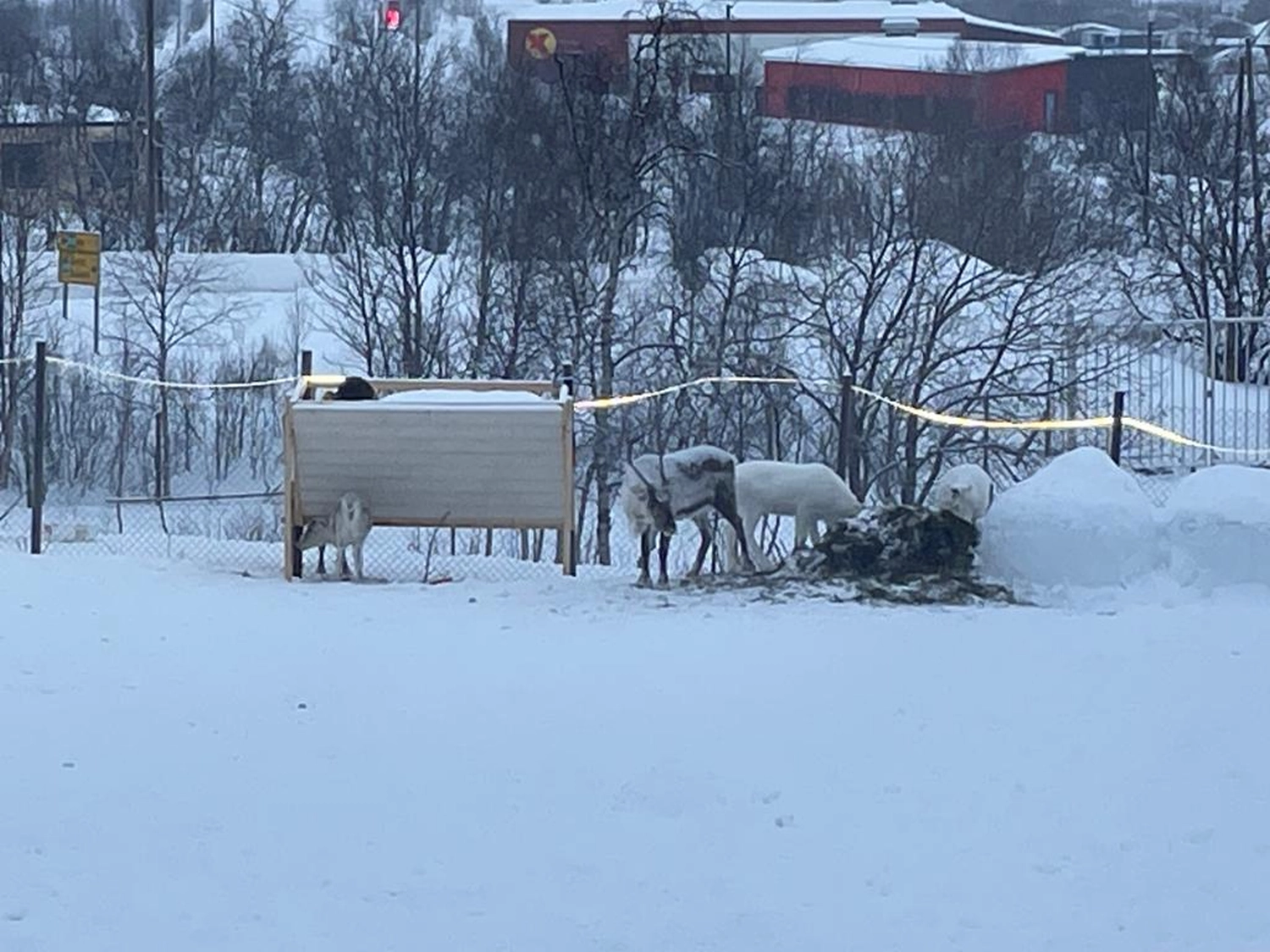 Kiruna to Storuman by  LTO Sprachprüfung