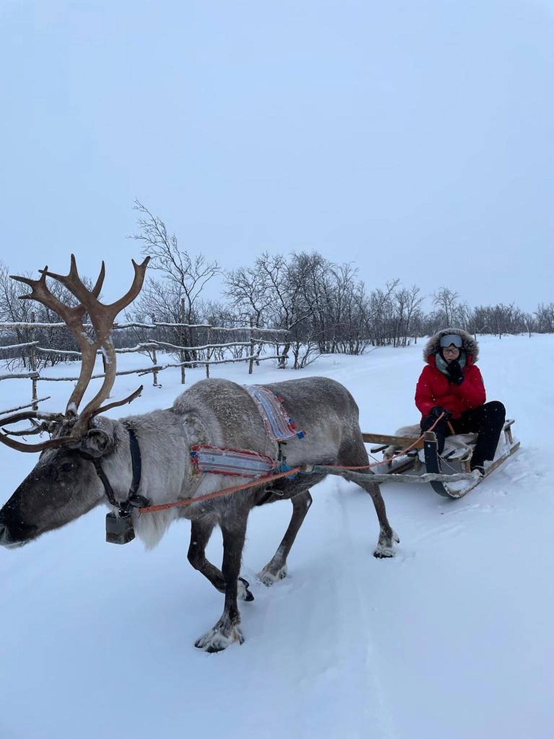 Kiruna to Storuman by  LTO Sprachprüfung