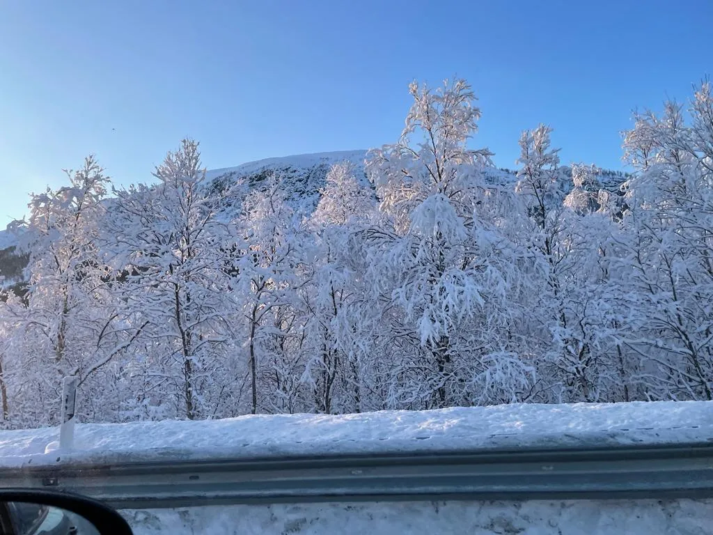 the drive from Hammerfest to Narvik and then Svolvaer on the Lofoten Islands by  LTO Sprachprüfung