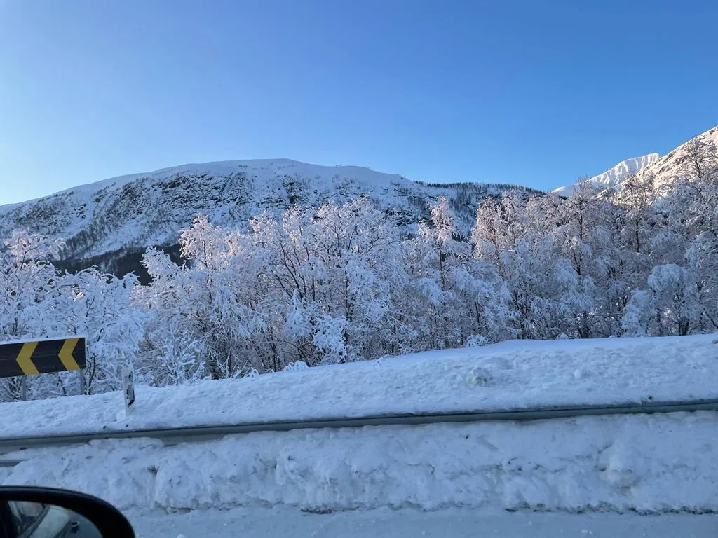 the drive from Hammerfest to Narvik and then Svolvaer on the Lofoten Islands by  LTO Sprachprüfung