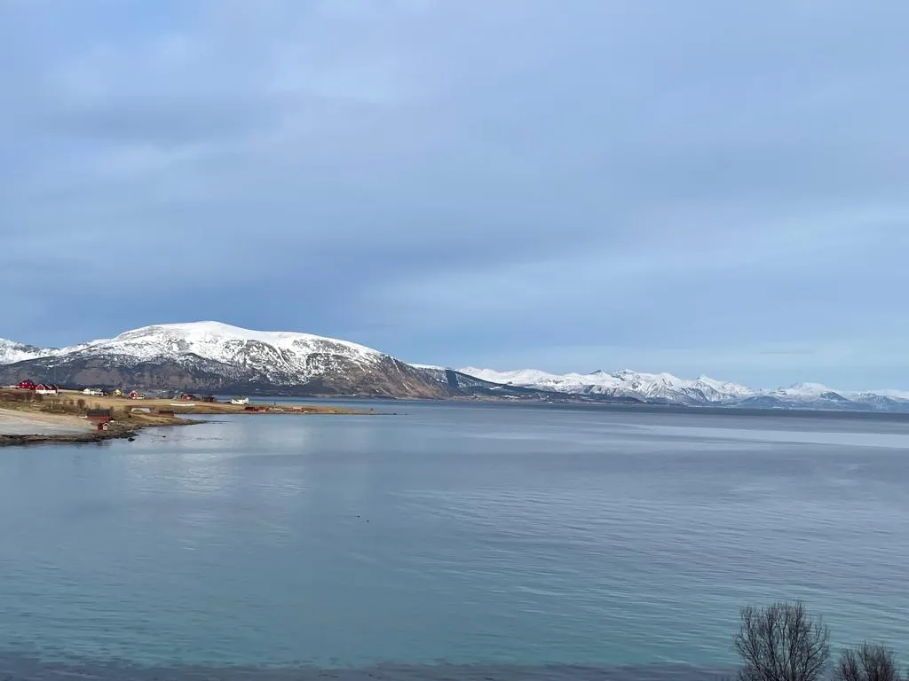 the drive from Hammerfest to Narvik and then Svolvaer on the Lofoten Islands by  LTO Sprachprüfung