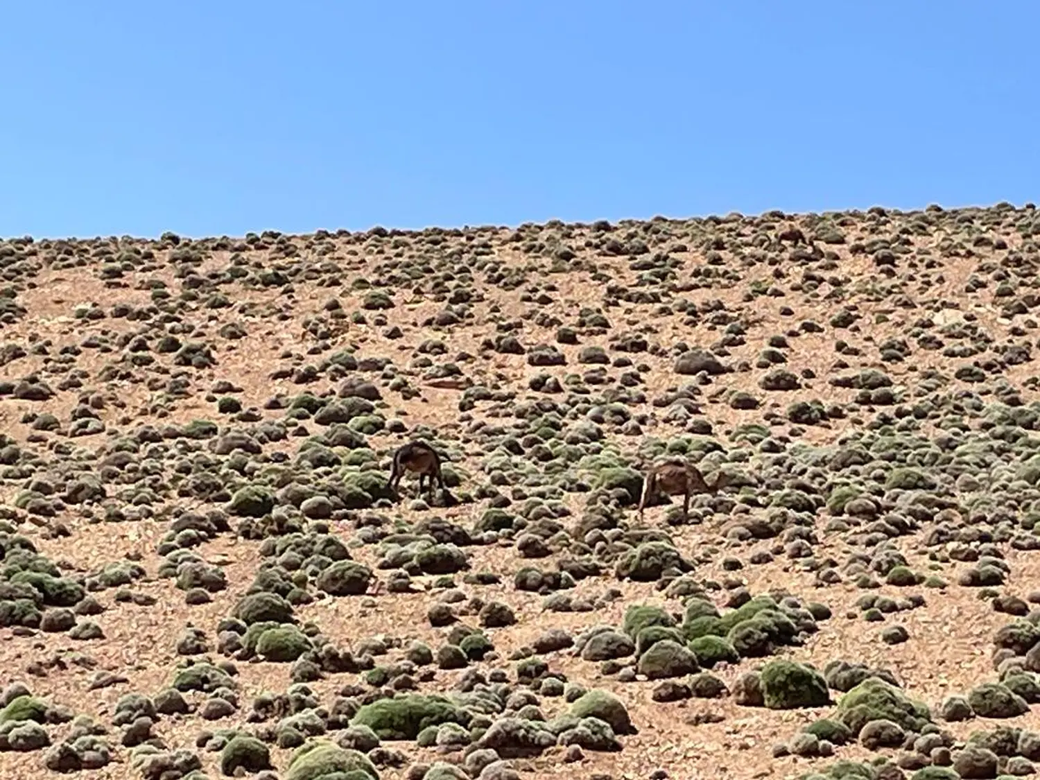 Lac de Tilsit to Quazazate OFF ROAD through the Atlas Mountains Return towards Marrakech 