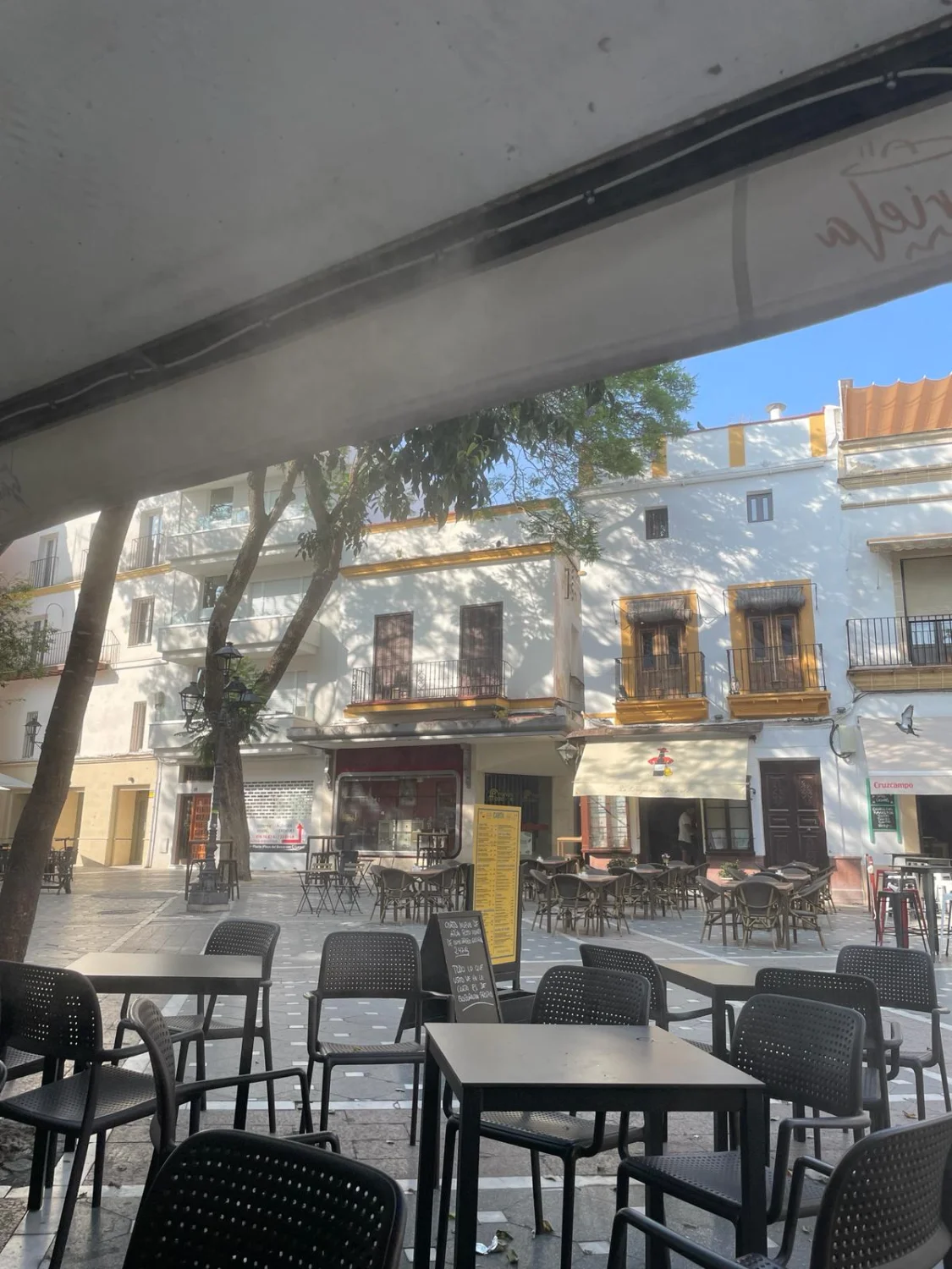 ALGERCIRAS TO JEREZ DE LA FRONTERA by LTO Sprachprüfung