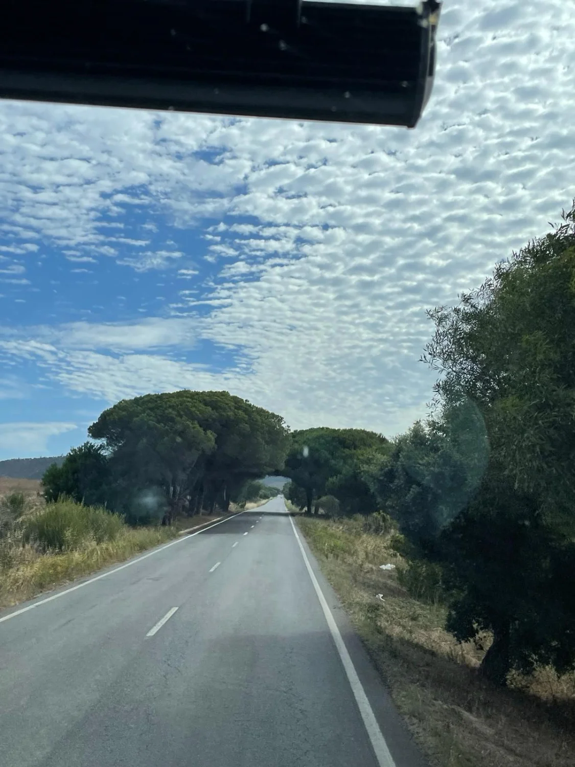 Sagres to Villa nova de Milafontes and then to Evoral by LTO Sprachprüfung
