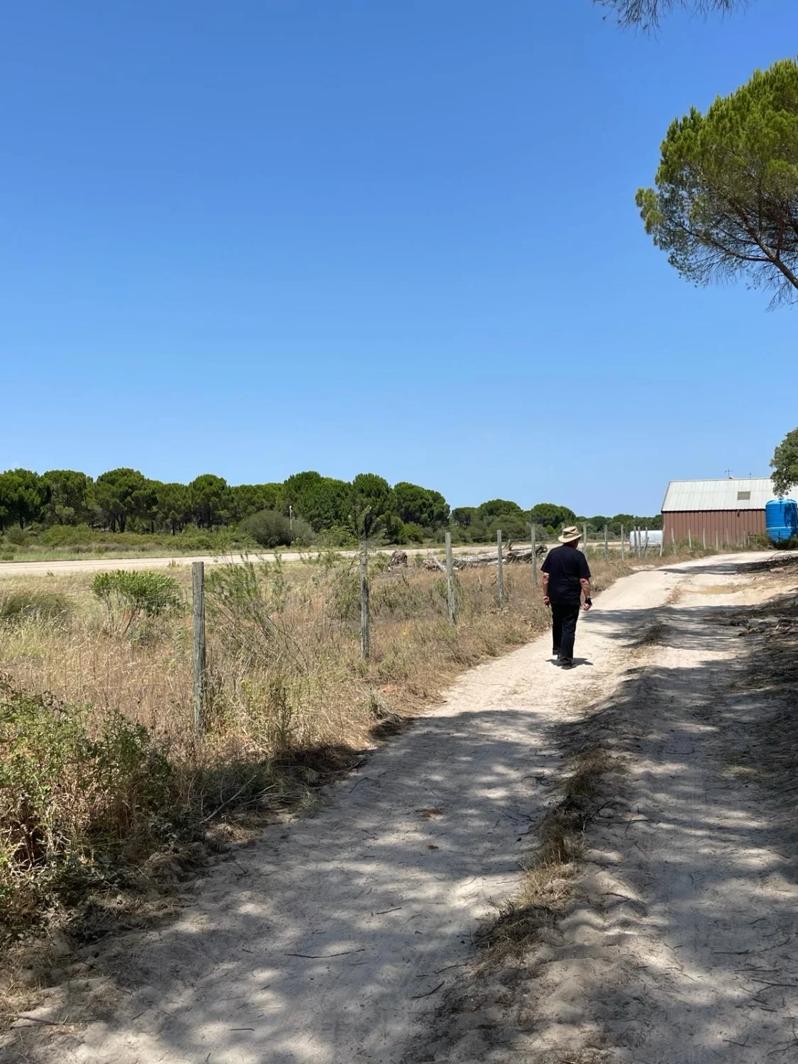Evora to Estremos and Montargil by LTO Sprachprüfung