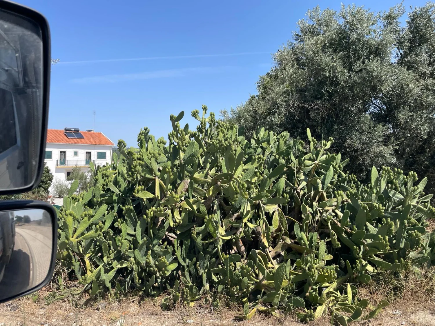 Evora to Estremos and Montargil by LTO Sprachprüfung