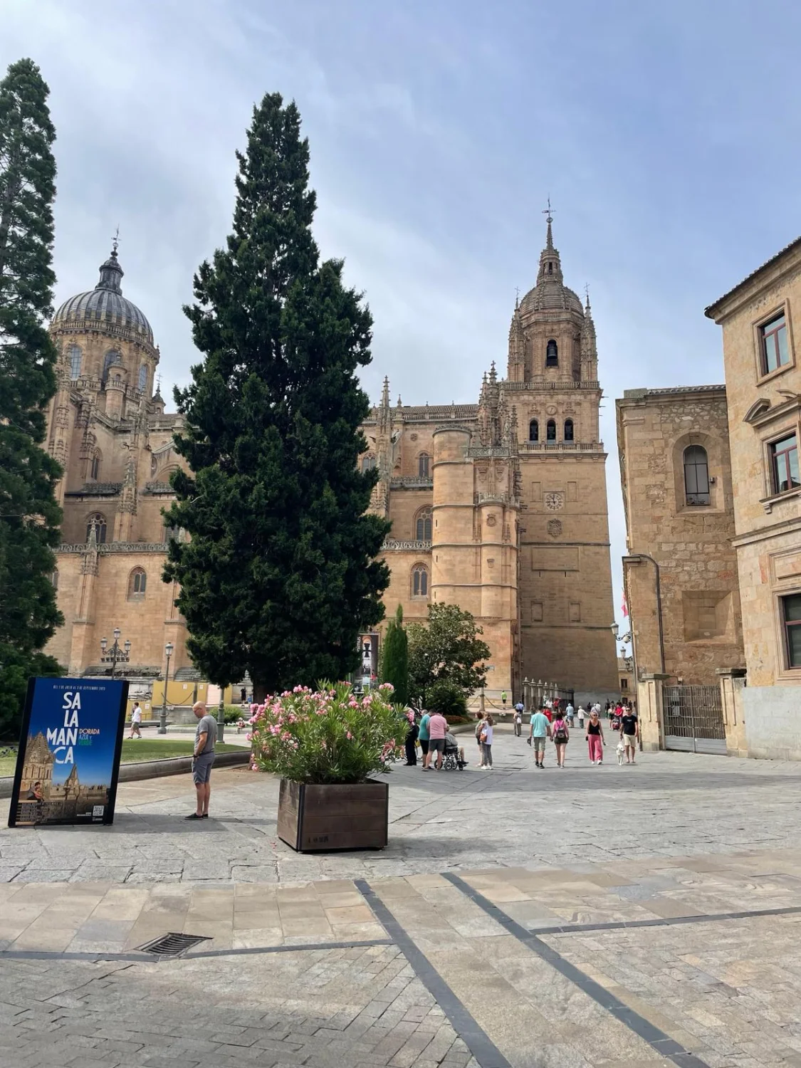 Montargil to Salamanca by LTO Sprachprüfung