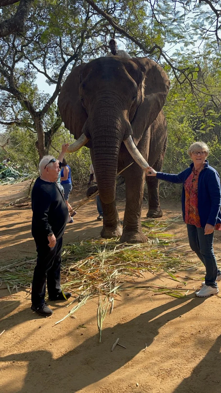 Elephant Whisperers by LTO Sprachprüfung