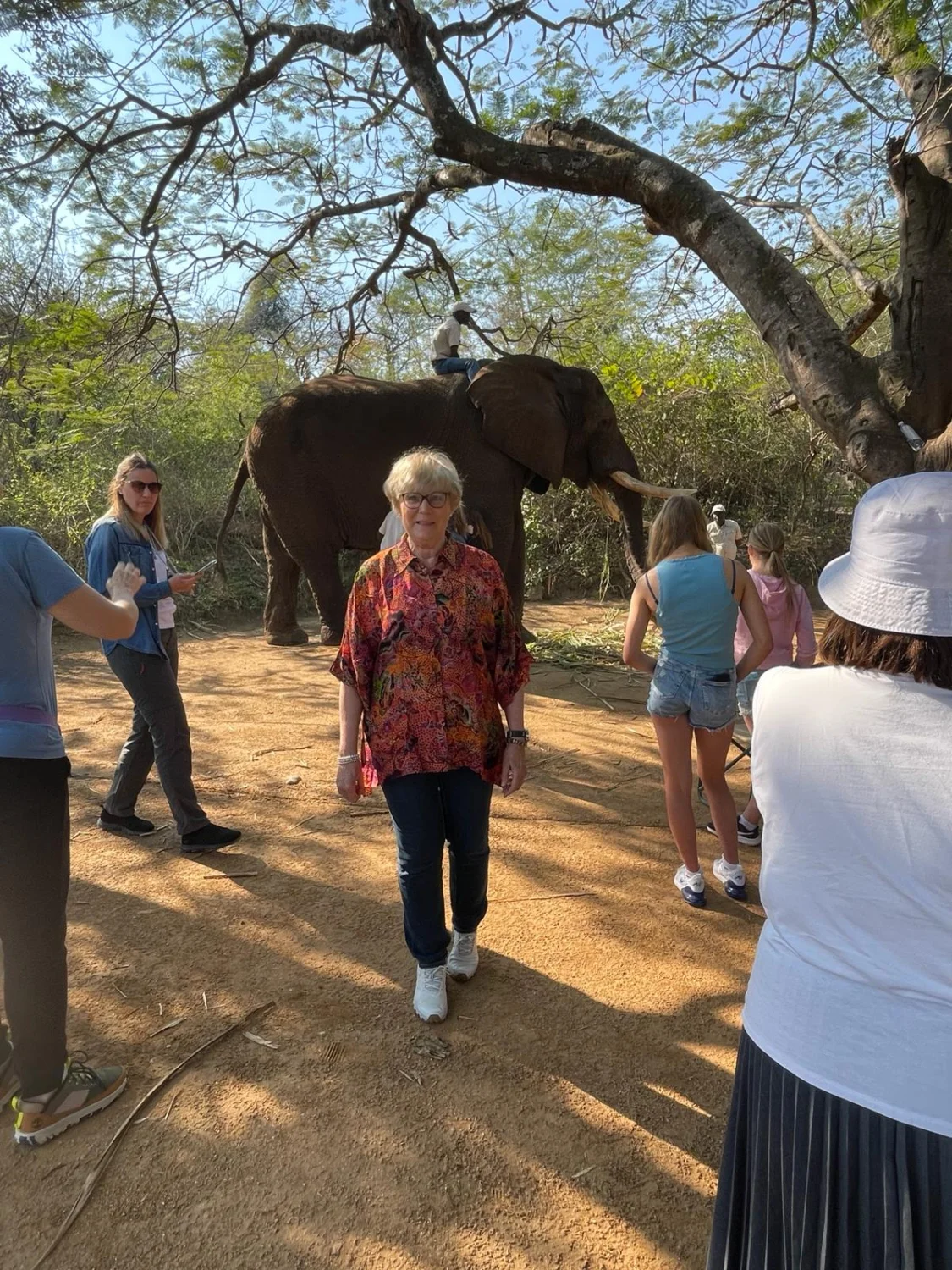 Elephant Whisperers by LTO Sprachprüfung