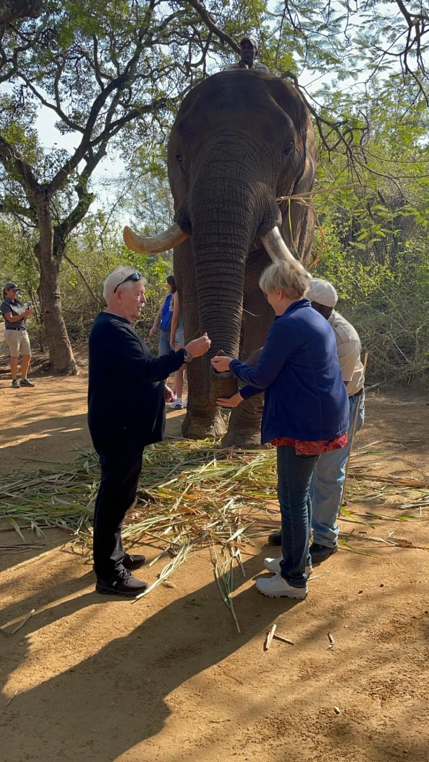 Elephant Whisperers by LTO Sprachprüfung