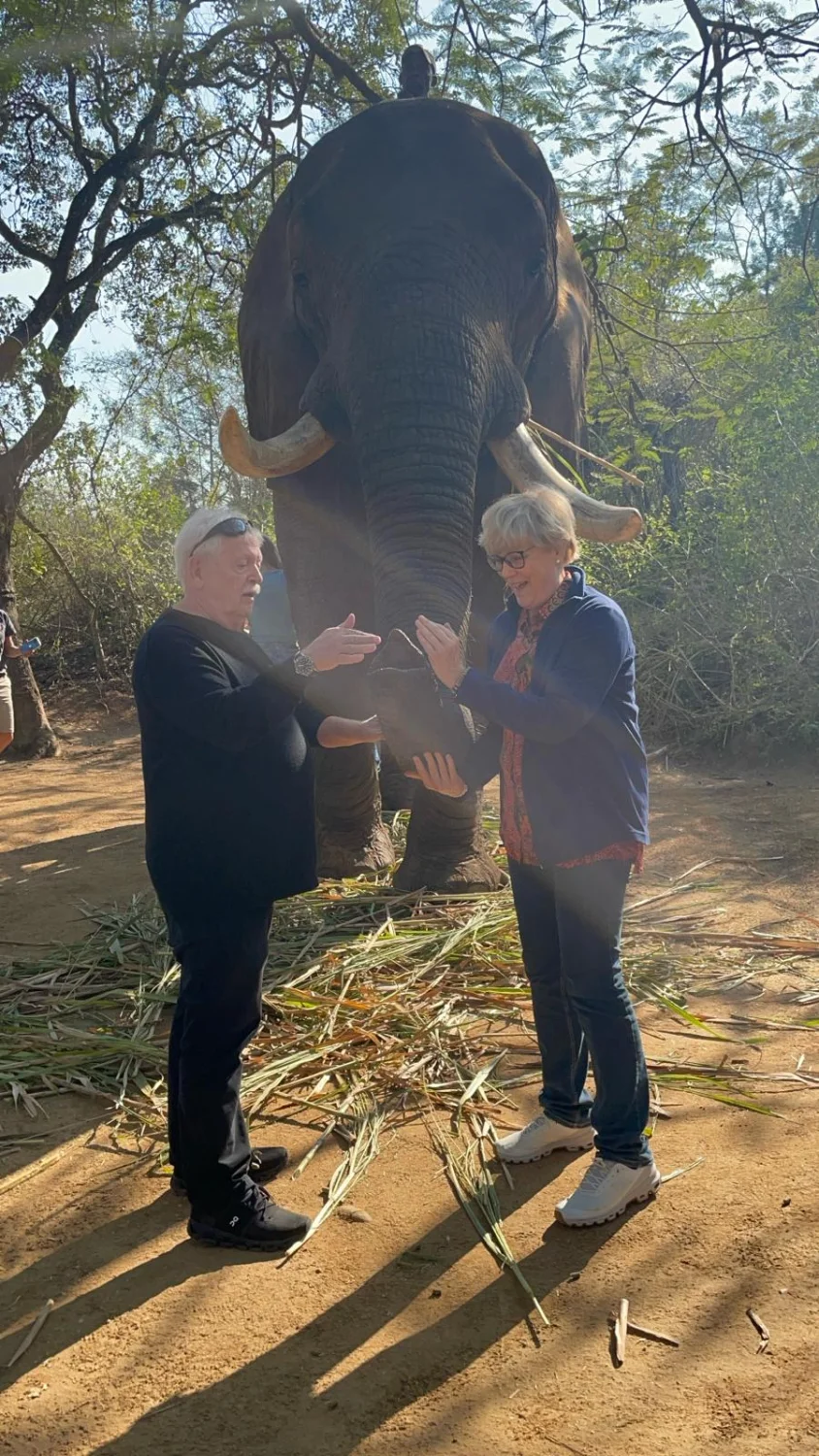 Elephant Whisperers by LTO Sprachprüfung