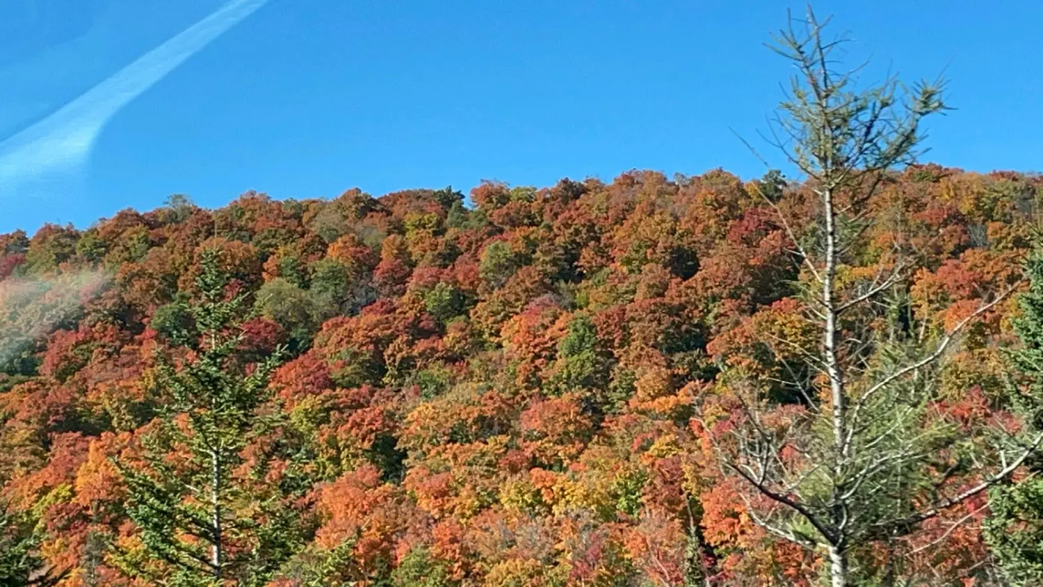 Canada Indian Summer by LTO Sprachprüfung