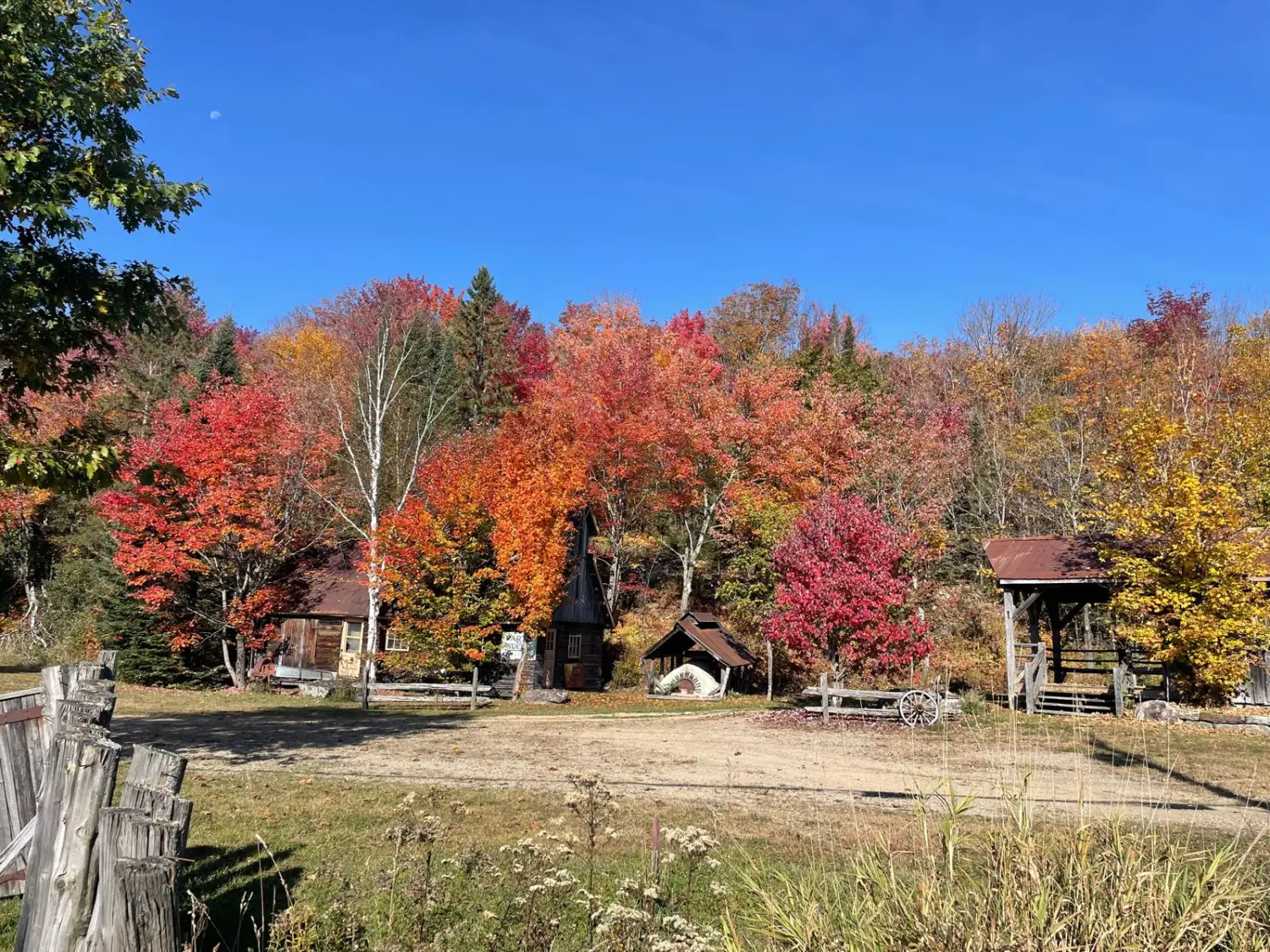 Canada Indian Summer by LTO Sprachprüfung