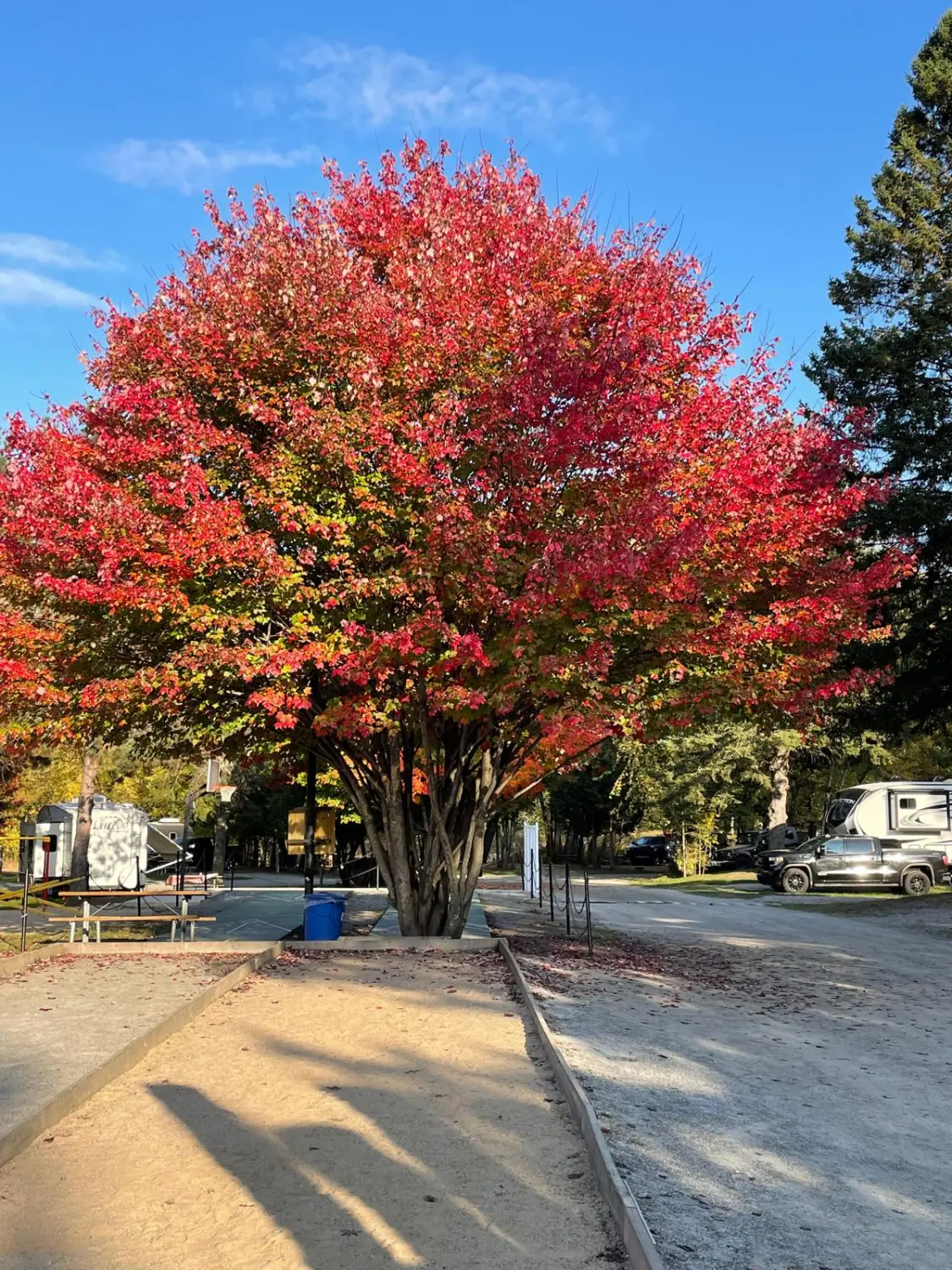 Canada Indian Summer by LTO Sprachprüfung