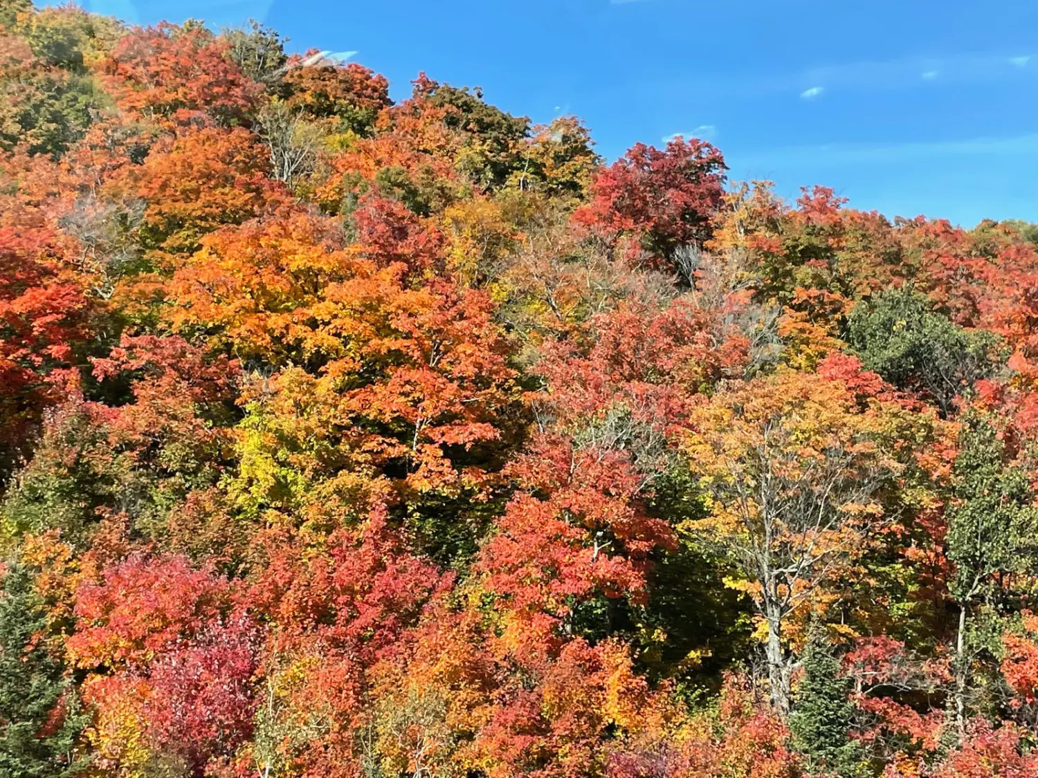 Canada Indian Summer by LTO Sprachprüfung