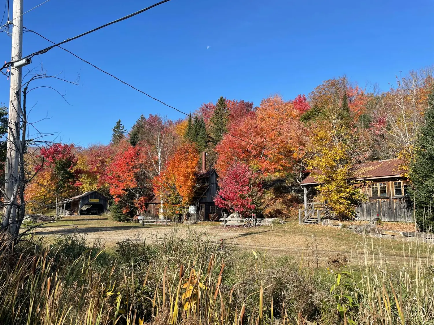 Canada Indian Summer by LTO Sprachprüfung