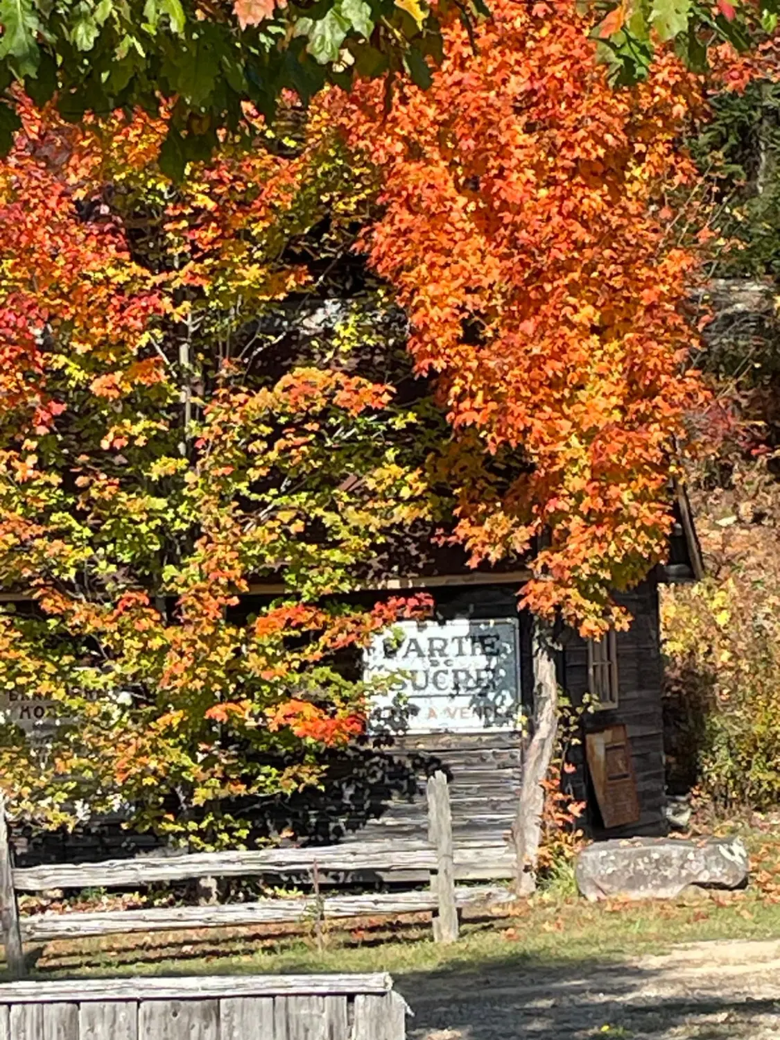 Canada Indian Summer by LTO Sprachprüfung