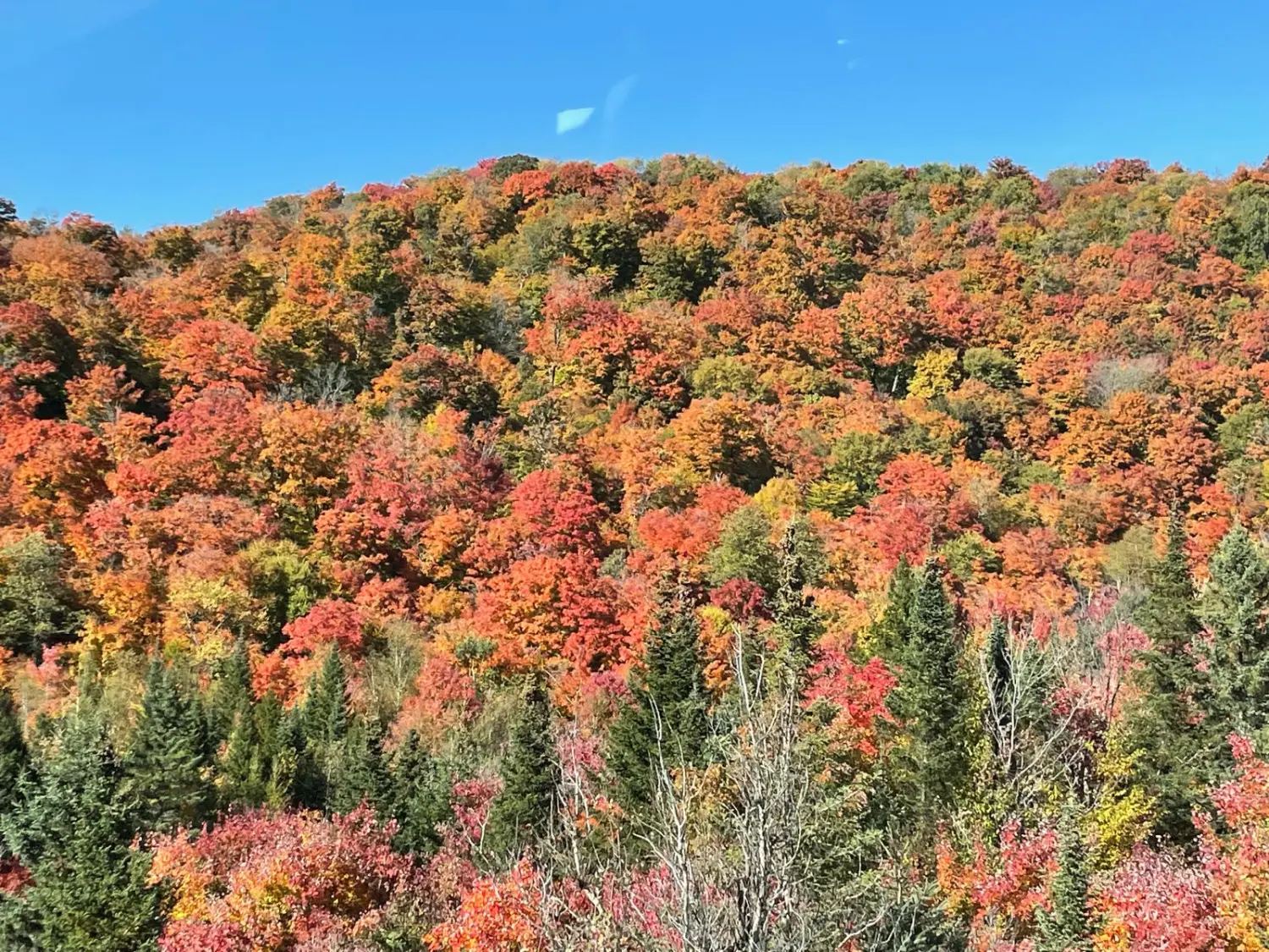 Canada Indian Summer by LTO Sprachprüfung