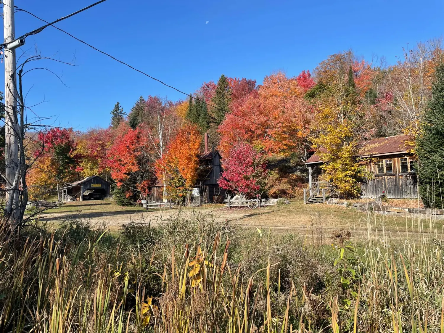 Canada Indian Summer by LTO Sprachprüfung